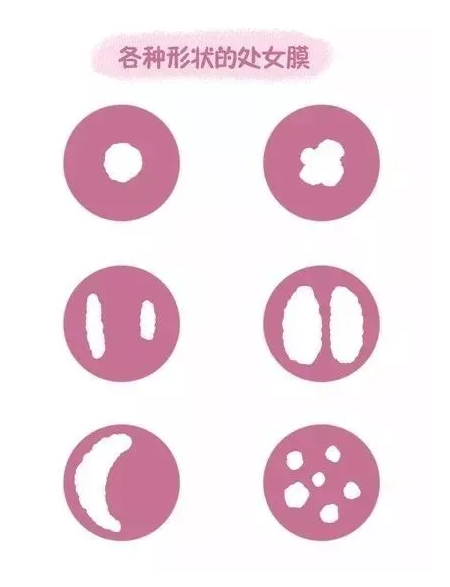 ͯ Ĥ˽ 